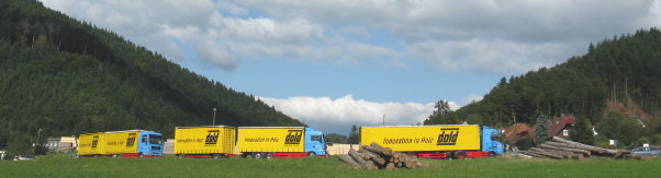 Producteur Allemand de Bois de Construction de DOLD Partenaire de l'Agence Boinet France